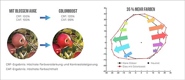 Die Colorboost™-Linsentechnologie verbessert den Farbkontrast und erweitert das sichtbare Farbspektrum mit einem hohen Farbauflösungsfaktor (CRF) und Farbgenauigkeitsfaktor (CAF).