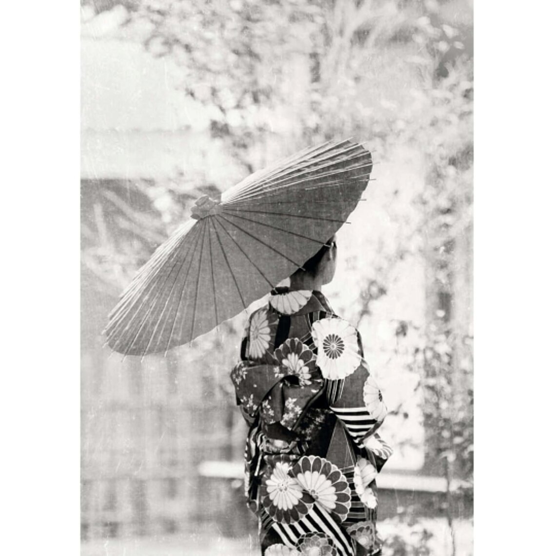 Minamoto eyewear campaign image geisha visual