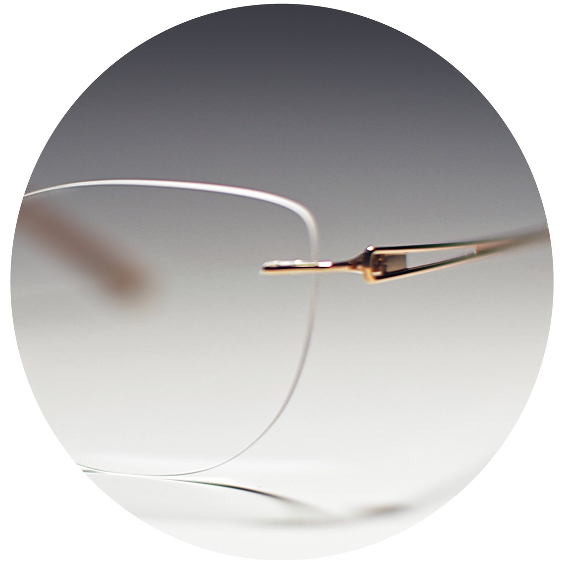 Titanium eyewear collection