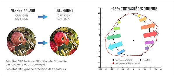 La technologie Colorboost™ améliore le contraste des couleurs et élargit le spectre chromatique visible grâce à un facteur de résolution chromatique (CRF) et un facteur de précision chromatique (CAF) élevés.