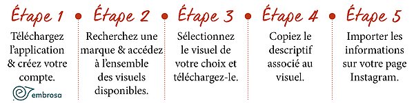 Réseaux sociaux - Embrosa - Utilisation